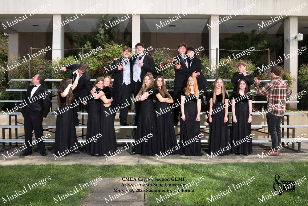 Musical Images
